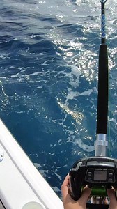 LEARN TO DEEP DROP IN LESS THAN 4 MINUTES! Full Video: https://www.youtube.com/watch?v=DRyMTSdWlr4 ✉️ SUBSCRIBE TO OUR MALING LIST for first notice (before social media blast) on gear restocks, fish events and more: https://www.galeforcefishing.com/subscribe 🙌🏼 SUPPORT OUR CHANNEL: We appreciate each and every one of you following us on our journey! By shopping through these links you are helping support the Gale Force channel which helps us continue our mission to inspire families, women and 