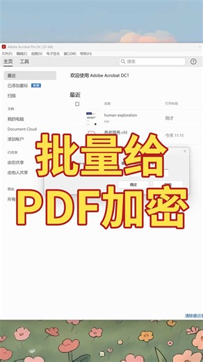 教你一键批量加密PDF文件，守护数据隐私！