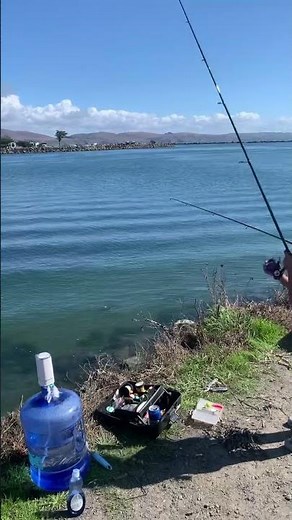 Bodega bay camping, fishing and crabbing enjoying nature with the family.