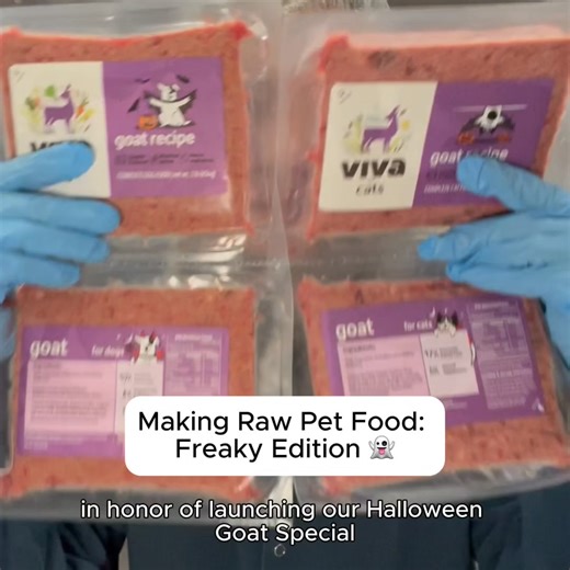 All treat, no tricks - our Free-Range Goat recipe is here! 🐐 🇦🇺 Sourced from wild, free-range goats in Australia 🦘 Sustainably managed to protect native Australian wildlife 🥩 100% single protein 🌿 Raised with no hormones or antibiotics | Viva Raw
