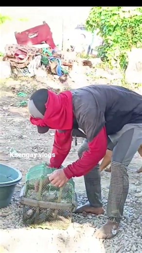 mamaw na tilapia 🐟🌾