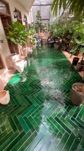 5.4K views · 114 reactions | Beautiful combination of Emerald Green tiles and pink touches! Thoughts?Video from @greenhall.plants @architecture.wave | Architecture Wave | Facebook