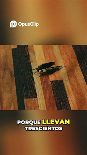 Goodbye Cockroaches! Their Unstoppable Resistance Explained