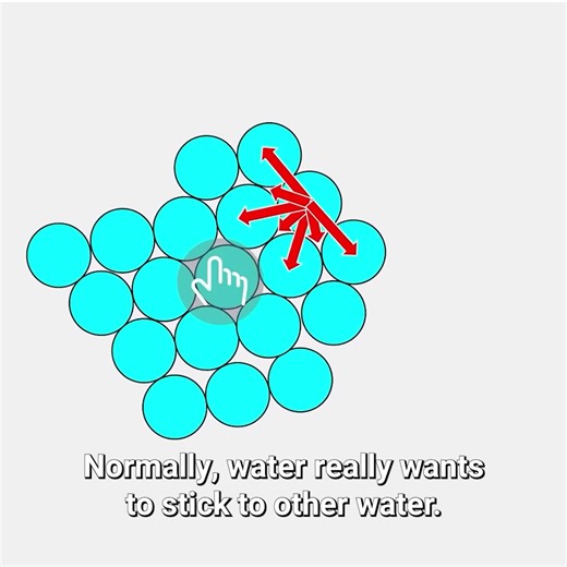 79K views · 1.7K reactions | The US Actually Funded Research For This Effect  | The Action Lab | Facebook