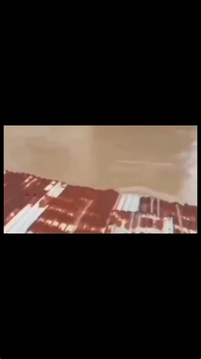 Joi Edits on Instagram: "Attachment signals intensify when separation probability rises abruptly. In bonding systems, repeated proximity and routine interaction establish expectation continuity. When an exit cue appears unexpectedly, loss anticipation activates retrieval and recall behaviors. As uncertainty accumulates, signaling escalates to delay separation and restore predictability. The mechanism is sequential: attachment forms, separation cues emerge, uncertainty thresholds are crossed, and