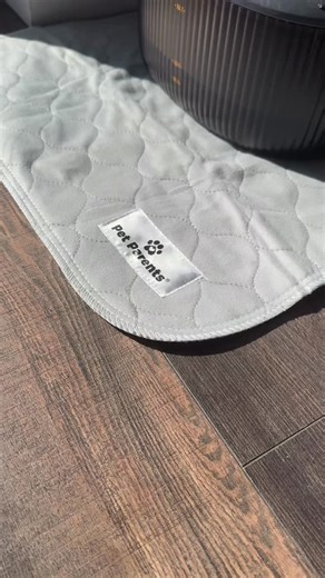 This is what everyday life with pets actually looks like. A water bowl that stays out. The drips happen. And the Pawtect® Pad just… does its job. No cleanup mid-shot. Just a pad that lives here because it works , catching the mess, locking in moisture, and leaving the floor dry underneath. Thoughtfully made, quietly doing the job the Pet Parents way. 🐾💧 | Pet Parents