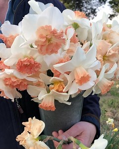 P. Allen Smith on Reels