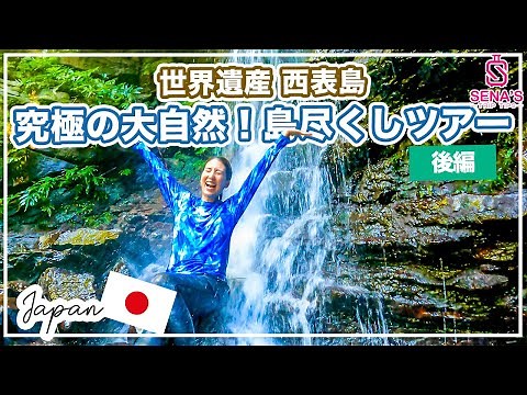 【西表島究極の大自然ツアー】暗闇の先に絶景が待つ洞窟から山奥に潜む滝まで...目から鱗だらけの島尽くしツアー【後編】