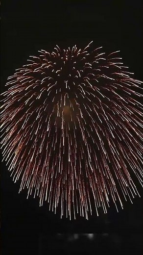 16"inch Japan display shell (Nishiki kamuro Niagara fall) #fireworks #pyrotecnic#bestfirework#pyro