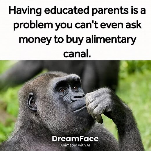 Best Memes 2026: Top Funny Meme Clips to Laugh Now