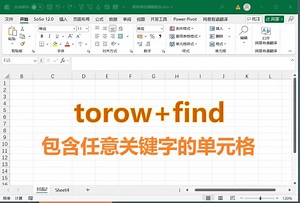 DM excel两分钟-199-torow+find多对多查找包含任意关键字的单元格