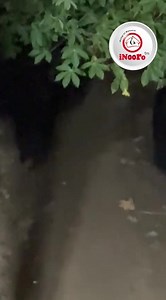 Kamanda wa borithi Kaunti ya Mombasa Peter Kimani, augite maabitha a ugitiri ni marethana na imwana ithatu iria ironekana mbica-ini ya video, makihithukira mundurume umwe, makamubora na gucoka kumuhura na banga. #MariaMareyumiria #InooroFm #MuciiwaUtuginaUtana | Inooro Fm