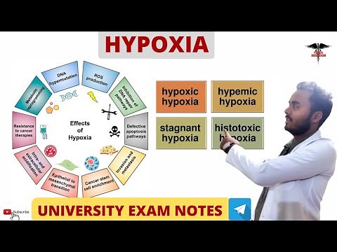 Hypoxia || Types Of Hypoxia|| Effect Of Hypoxia | Respiratory system physiology