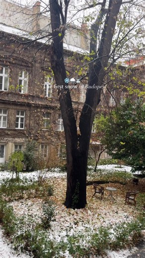 Exploring Winter Wonderland in Budapest