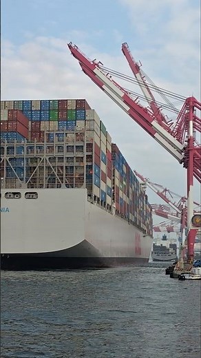 靠泊中的 OOCL BAUHINIA🚢穿裙裙拍船船