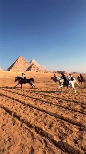 known for harsh environments for working horses but choose your supplier well, research their reviews, charity work and local and global reputation! you may be suprised! Ride Egypt - Equestrian Adventures is proud to show you there is happiness to be found in flying beautiful arabians in the desert whilst also with years of dedication and frequent contribution to fund raisers, raffles and give aways, monthly sponsors of local charity. You always have the choice of whom you chose to ride with. Ch