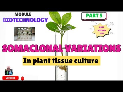 Somaclonal variation in tissue culture|HSSTBOTANY| #plantsapiens #hsstbotany