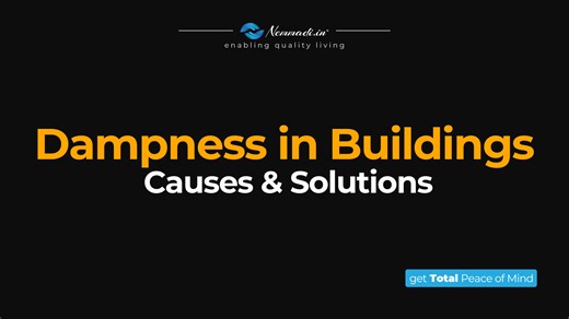 Dampness in Buildings: Causes, Detection & How to Fix It