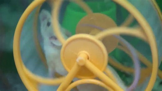 VoxCell BioInnovation TV Spot, '3D Bio Printing'