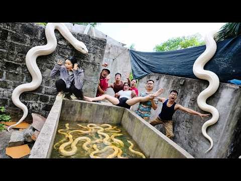 Brave Experts Rescue Girl from Ferocious Giant White Python in Abandoned House