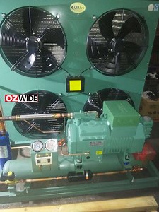 [Hot Item] Cold Room Panel Air Cooled Condensing Unit for Walk in Cooler Refrigeration