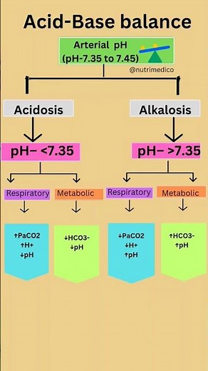 Acid-Base balance and regulation #exam#medicine#pom #acid- base #balance #flowchart #notes #pH #bio