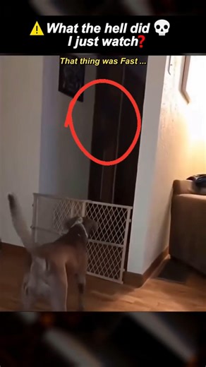 🚫Disturbing Footage Found Online…(unexplained)‼️ #horror #scary #shorts #shortsfeed #disturbing