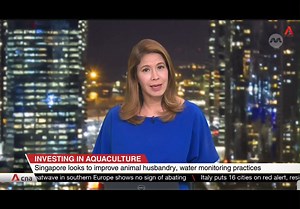 [Aquaculture Study Trip] Had a good study trip learning about fish farms’ animal husbandry practices in Australia. Fish farmers there adopted good practices such as extensive seawater monitoring to ensure low fish mortality and low impact on the environment. In Singapore, we are working hard to transform our nascent aquaculture industry into one that is not only more productive, but also more sustainable. Our fish farmers can look forward to the upcoming Aquatic Animal Health Services to strengt