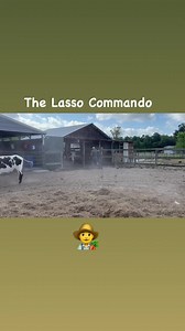 410K views · 10K reactions | It’s a race against time to save a longhorn’s life | Ima Survivor Donkey and Farm Animal Sanctuary | Facebook