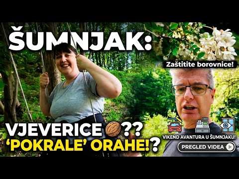 Čišćenje auta, plijevljenje povrća i pranje prozora