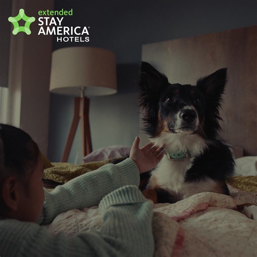 Pet-friendly rooms? Check. Flexible cancellation policy? Check. And at 700+ Extended Stay America locations nationwide. | Extended Stay America | Facebook