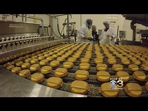 Tastykake Unwrapped: The Science & Secrets Behind Those Delicious Treats
