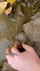 2.4M views · 50K reactions | Crawdad Rescue | Tim in the Wild | Facebook