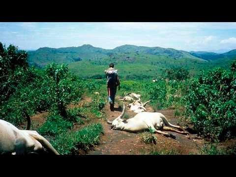 Historias Innecesarias: Tragedia del Lago Nyos