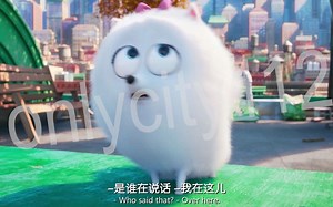 《爱宠大机密》自制配音素材 完美消人声（预览）