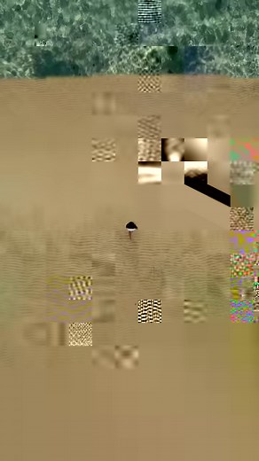 2.6K views · 36 reactions | Discover the diverse landscapes of K'gari (Fraser Island) on a guided 4WD coach tour. From freshwater lakes & sand dunes to lush rainforests... the adventures are endless! #WelcometoKgari #IslandParadise  Video credit to Matt Laycock @matt_laycock @frasertours @eastcoasttours | K'gari Explorer Tours | Facebook