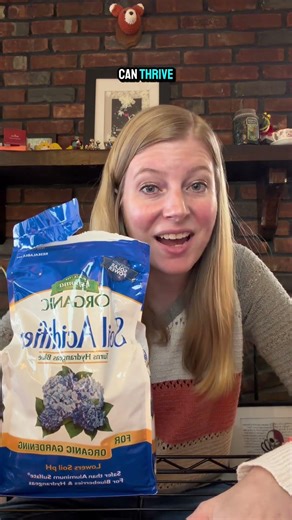 What I Use For Blueberries In Containers