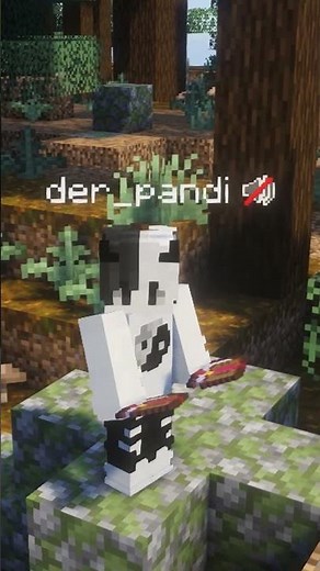 Random Mixel Items erklärt Pt. 3 #mixelpixel #minecraft #gaming