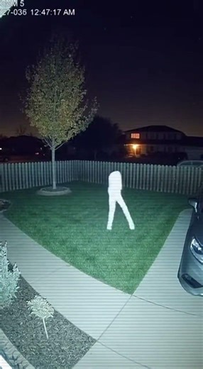 Fresno Nightcrawler (California, USA)