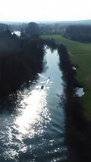 Toxicity in the Thames: A Looming Environmental Crisis