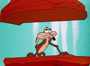 Coyote's in some trouble. How would you help him? See his fate on the Boomerang App: http://bit.ly/2uQMiqO | Boomerang