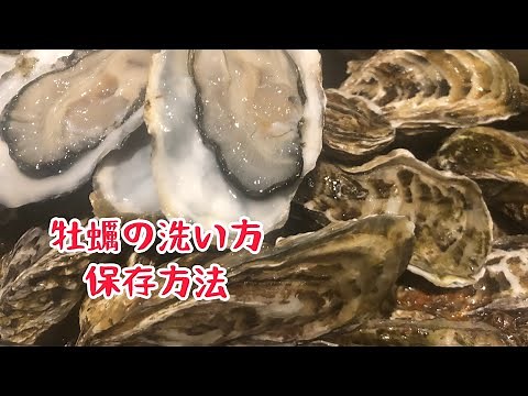 牡蠣の洗浄と保存