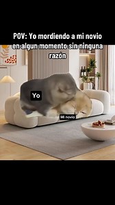 206K views · 202 reactions | Mordiendo 來來 | Noteit Widget | Facebook