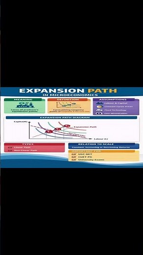 Expansion Path in Microeconomics | Cost Minimization & Producer Equilibrium