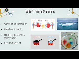 Water: Life's Essential Molecule | Chemistry of Life (Ep. 3)