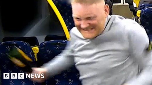 Violent bottle attack by drunk train passenger captured on CCTV
