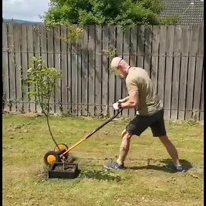 6.1K views · 456 reactions | Keeping the Buddhahood looking sweet in an eco-friendly way! #phantomplanter | The Phantom Planter | Facebook