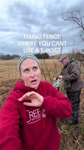 With a little bit a dramatic screaming thrown in #windingcreekfarms #fence #farm