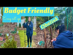 How to assemble budget-friendly Obelisk Trellis? Perfect for giving structure to my climbing rose.