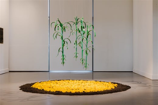 Biennale of Sydney review: Western Sydney shines in this international showcase